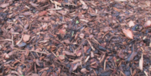 Category product images - Bark